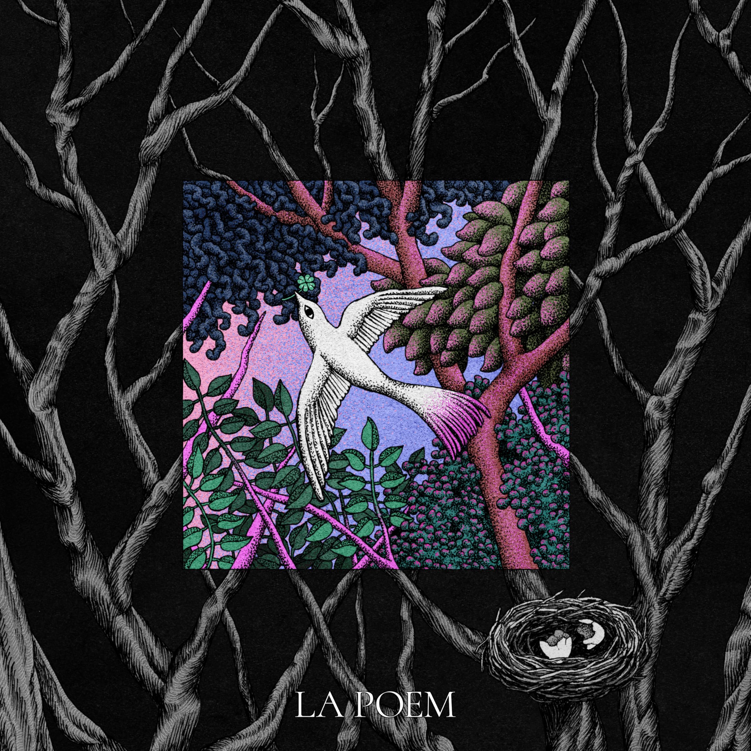 Image Cover
